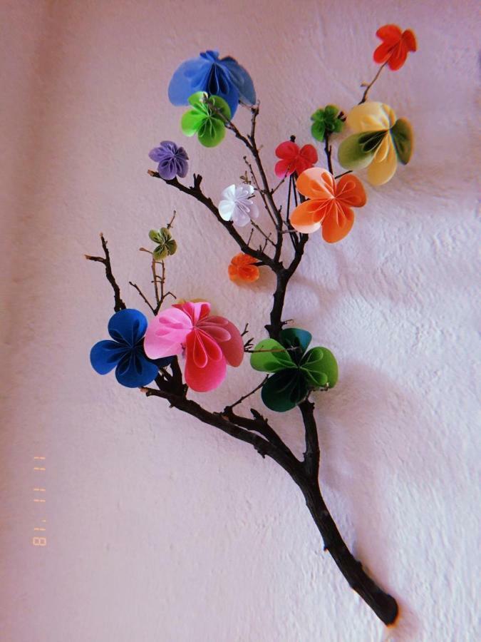 Maria Bonita Hostel Guadalajara Bagian luar foto